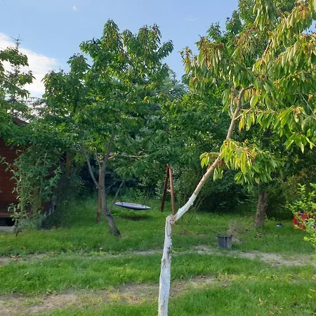 Domek Letniskowy W Zieleni Blisko Jeziora Sredzkiego *